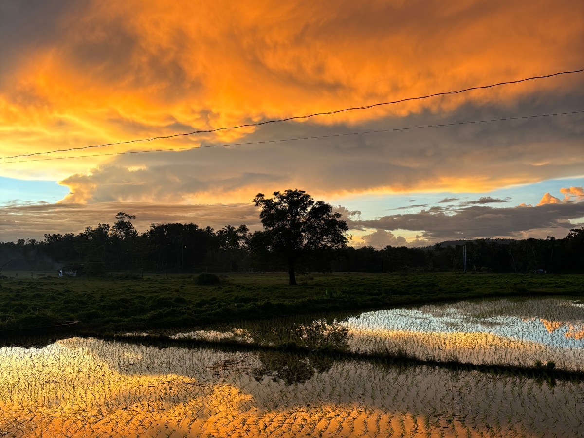 The art of&nbsp;noticing.