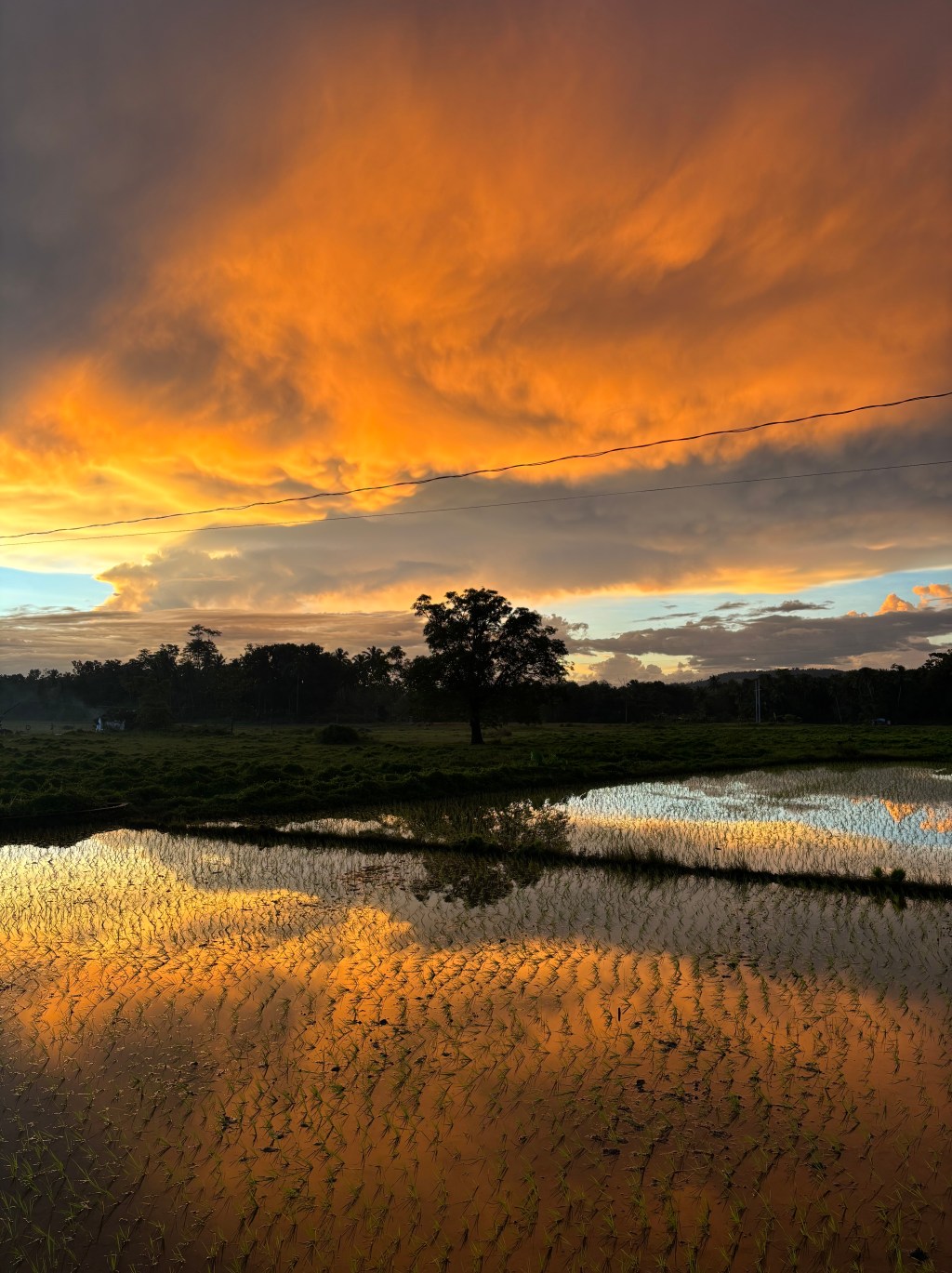 The art of&nbsp;noticing.